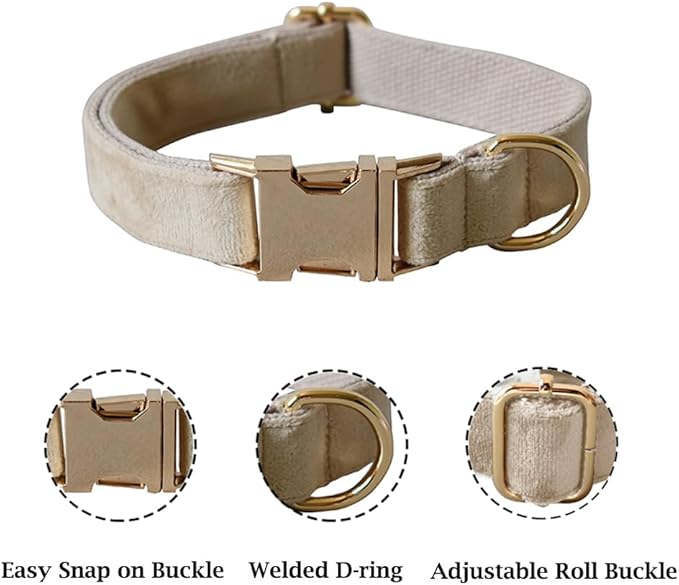 JAY D.L Dog Collar and Leash Set，Soft & Comfy Velvet Dog Collars with Heavy Duty Metal Buckle and Matching Lead Adjustable for Small Medium Large Dogs (XLarge, Beige)