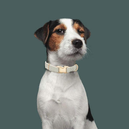 Soft Hemp Dog Collar and Leash Set Adjustable Woven Tweed Dog Collars with Metal Buckle and Lead for Small Medium Large Dogs,Grey