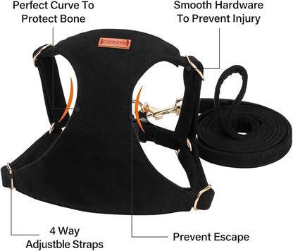 No Pull Dog Harness- Lightweight, Soft, Adjustable Small Harness Collar and Leash Set, Suitable for Cats Puppy Small and Medium-Sized Dog Outdoor Training and Running (Black, S)