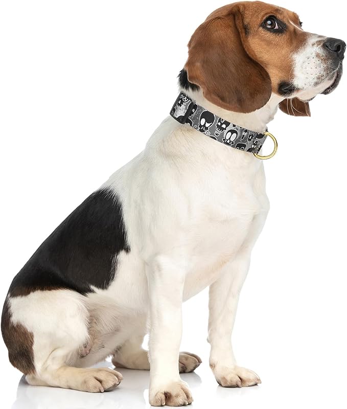 Rnivvi Dog Collar for Medium Dogs, Cute Heavy Duty Adjustable Puppy Collar with Quick Release Buckle for Girl & Female, Pet Accessories for Walking Running, M Length 1" Width, Black Skull