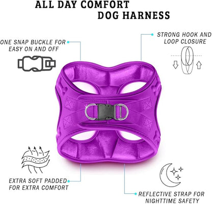 Comfort Fit Dog Harness Step In No Pull Harness for Medium Small Sized Dogs Soft Padded No Escape Harness Adjustable Easy Buckle with Leash Attachment D-Ring Extra Comfort Inside Velvet Plush S Purple
