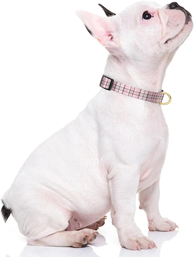 Rnivvi Dog Collar for Small Dogs, Cute Heavy Duty Adjustable Puppy Collar with Quick Release Buckle for Boy Girl & Female, Pet Accessories for Walking Running, XS Length 5/8" Width, Pink Tartan