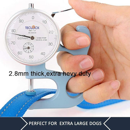 Plutus Pet Double Handle Dog Leash 5ft, Heavy Duty, Reflective Dual Handle Dog Leash for Safety Training, for Medium Large Dogs,2 Handle Leads(Blue)