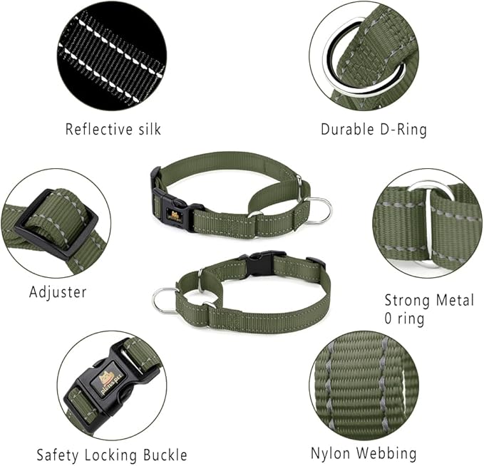PLUTUS PET Reflective Martingale Collar with Quick Snap Buckle,No Pull Dog Choker Collar for Small Medium Large Dogs, M, Ranger Green