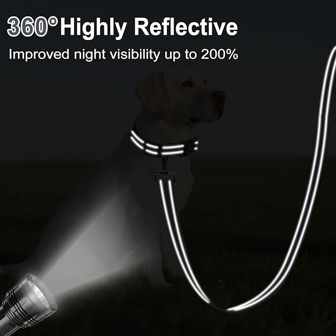 6FT Reflective Nylon Dog Leash with Soft Padded Handle for Walking, Running and Training, Supports Small Medium and Large Dogs (Grey, 1 Inch Wide)
