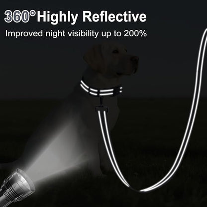 4FT Reflective Nylon Dog Leash with Soft Padded Handle for Walking, Running and Training, Supports Small Medium and Large Dogs (Grey, 1 Inch Wide)