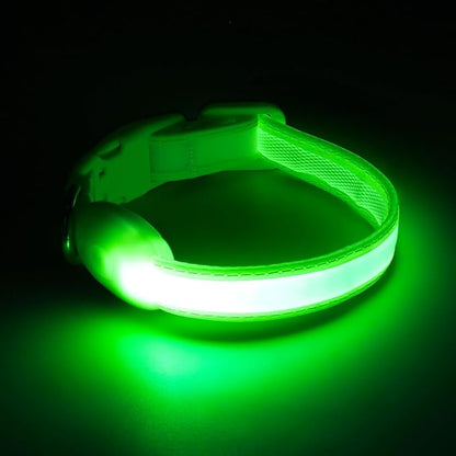 Light up Collar for Small Dog,Vizpet XS Adjustable Size Nylon Collar USB Rechargeable Bright Safety Pet Collar for Cats Small Dogs (Green, X-Small[ 8.66-11.9 inch/22cm-30cm])