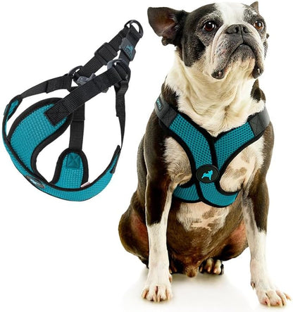 Gooby Comfort X Step in Lite Dog Harness - Choke Free, Escape Free with Light Breathable Mesh - Dog Harness for Small and Medium Breeds - Quick Release Buckle, Metal D-Rings - Turquoise, Medium
