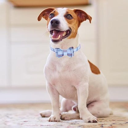 KOOLTAIL Small Dog Collar and Leash Set with Bowtie and Bells - Cute Puppy Bandana Collar and Leash for Male with Classic Plaid Pattern, Soft Leather Tangle Free Leashes for Small Dogs Boys Girls,Blue