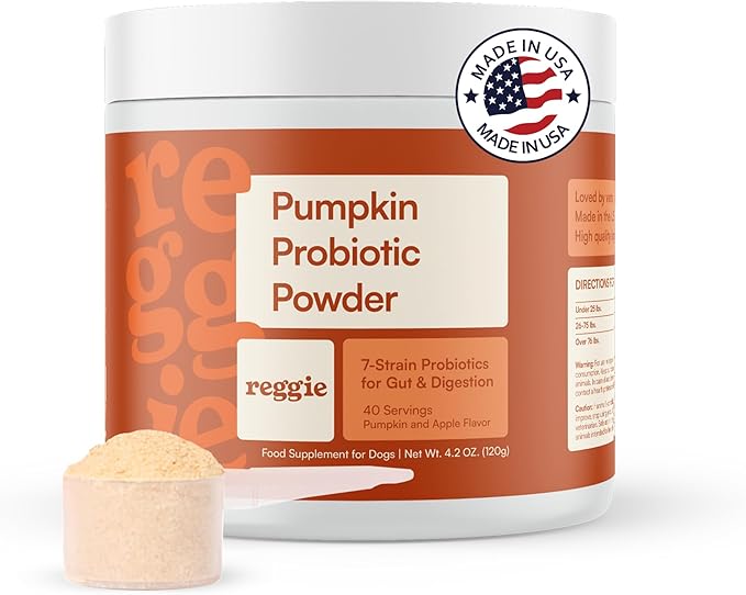 Reggie Pumpkin Probiotic Powder for Dogs | 7-Strain Probiotics + Pumpkin for Gut Health, Digestion & Stool Consistency | Natural Dog Digestive Supplement | Vet-Approved & Made in USA | 40 Scoops