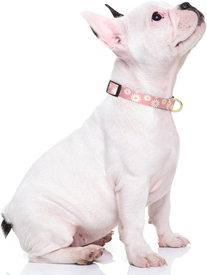 Rnivvi Dog Collar for Small Dogs, Cute Heavy Duty Adjustable Puppy Collar with Quick Release Buckle for Girl & Female, Pet Accessories for Walking Running, XS Length 5/8" Width, Pink Daisy Flower