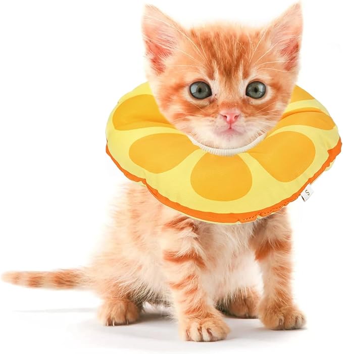 Jevnd Kitten Cones After Surgery 0-6 Months, Donut Extra Small Kitten Cone Collar Soft to Stop Licking Neck, Elizabethan Kittens e Collar for Recovery, xs Small Cat Cone Spray, Pet Soft Cone for Cats