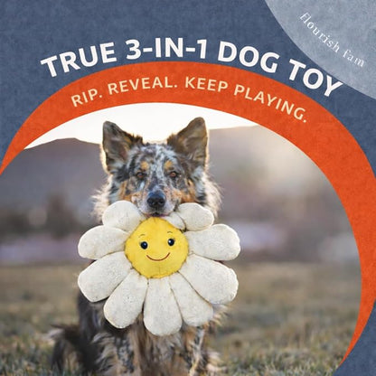 Flourish Pets 3 in 1 Multi-Layer Chew Toy for Active Dogs | Non-Toxic BPA Free Double Stitched Soft Fabric Exterior Dog Toys | Long-Lasting Dog Plush Toys - Large White Daisy 17"