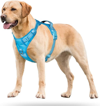 PoyPet No Pull Dog Harness, No Choke Reflective Dog Vest, Adjustable Pet Harnesses with Easy Control Padded Handle for Small Medium Large Dogs(Blue,XL)