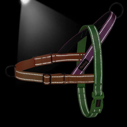 Didog No Pull Dog Harness with Soft Padded Handle, Quick Fit & Lightweight Adjustable Vest Harness, Easy for Training Walking for Small & Medium and Large Dogs(Green,L)