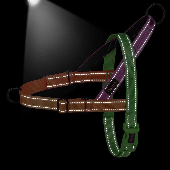 Didog No Pull Dog Harness with Soft Padded Handle, Quick Fit & Lightweight Adjustable Vest Harness, Easy for Training Walking for Small & Medium and Large Dogs(Green,M)