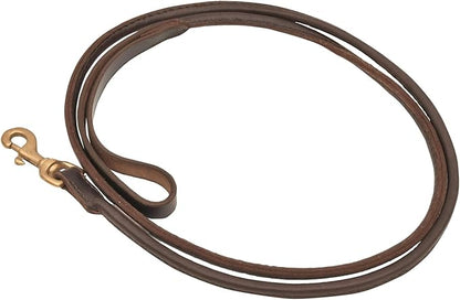 Jeffers 6FT Rolled Leather Dog Leash with Brass Hardware, Chestnut Brown Lead with Hand Strap, Durable Pet Leash for Medium & Large Dogs, Outdoor Walking & Training - 1" W x 6'L