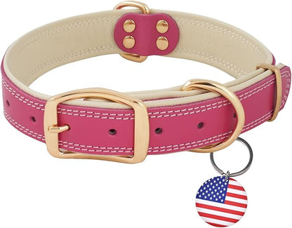 ADITYNA Heavy-Duty Pink Leather Dog Collar for Large Dogs - Soft Padded for Comfort - Girl Dog Collar for Walking, Training, and Hiking