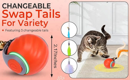 Dr. Fluffyyes Interactive Cat Toy Ball - Motion-Activated, USB Rechargeable Cat Toys for Indoor Cats with Anti-Scratch Cover & 2 Changeable Tails - Enrichment Toy for Active Cats & Kittens