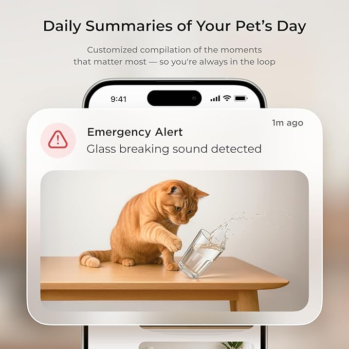 Petcube Cam 360 The Pack of 3 Camera | Ultimate Interactive WiFi Pet and Home Security Pan-Tilt Camera with Phone App, 1080p HD Video, 360° Rotation, Night Vision, Smart Alerts for Home Surveillance