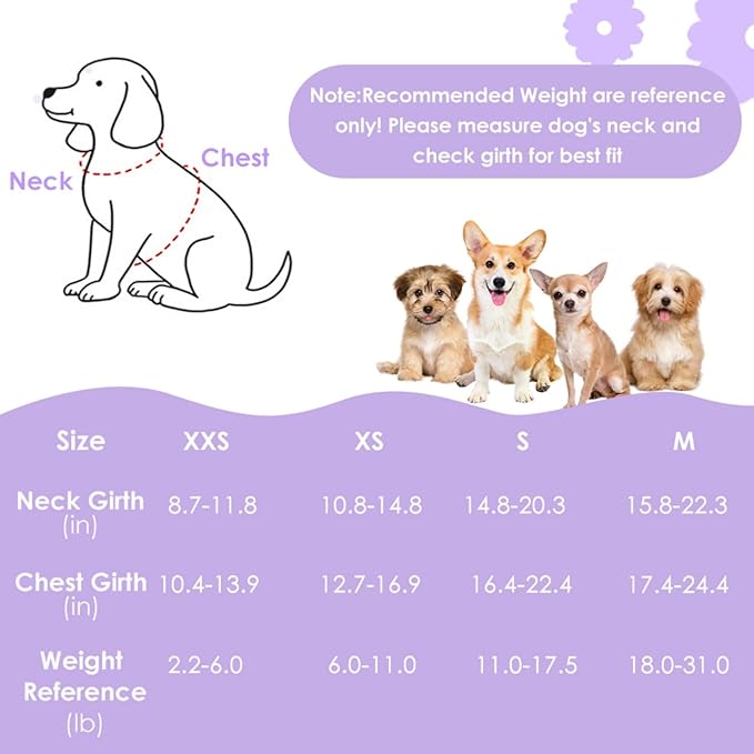 SlowTon Small Dog Harness - No Pull Dog Harness and Leash Set, Soft Mesh Lightweight Puppy Vest Harnesses, Adjustable Pet Harnesses for XXS XS Small Medium Easy Walk Hiking (Purple, XS)