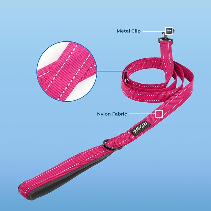 Best Pet Supplies Voyager Reflective Dog Leash or Collar with Neoprene Handle, for Small, Medium, and Large Breed Puppies, Cute and Heavy Duty for Walking, Running and Training - Fuchsia (Leash), M