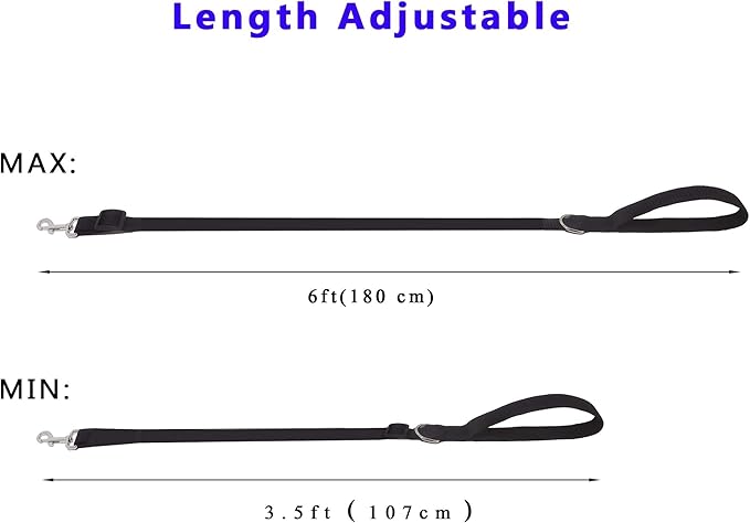 6FT Adjustable Dog Leash, Nylon Dog Leashes for Medium Large Dogs (Black)
