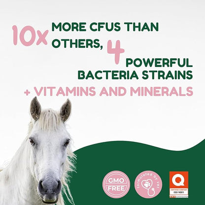 Horse Probiotics (80cc), Horse Paste Pre and Probiotics +Vitamins &Minerals- 4 Strains and 8 Billion CFU per Serving- Immune and Gastro Health Support for Equines