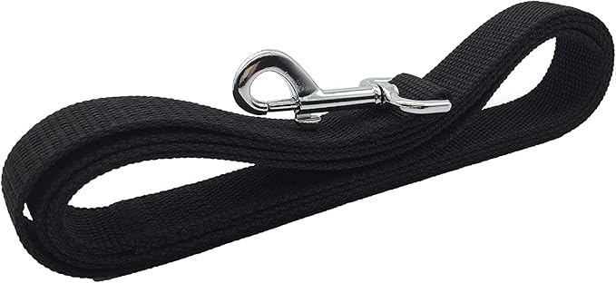 TAIAN 4FT/5FT/6FT Strong Dog Leash, Nylon Dog Leashes for Small Medium Large Dogs (Black, 1 in x 10 ft)