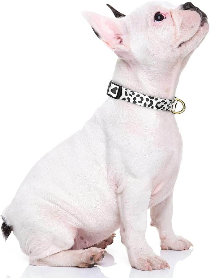 Rnivvi Dog Collar for Small Dogs, Cute Leopard Heavy Duty Adjustable Puppy Collar with Quick Release Buckle for Boy Girl & Female, Pet Accessories for Walking Running, XS Length 5/8" Width, White