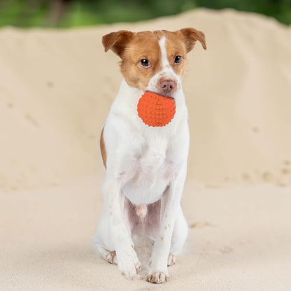 Best Pet Supplies Squeaky Dog Toys with Soft Durable Fabric for Small, Medium and Large Pets Interactive Toy for Indoor Play, Supports Active Biting and Play - Orange (L:3.5")