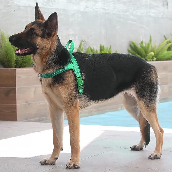 Plutus Pet No Pull Dog Harness with Breathable Mesh Padded, Adjustable Reflective Escape Proof Dog Harness, Quick Fit Dog Vest Harness for Small Medium Large Dogs(XL, Green)