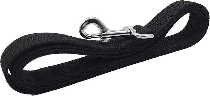 TAIAN 4 FT Strong Dog Leash, Nylon Dog Leashes for Small Medium Large Dogs Black