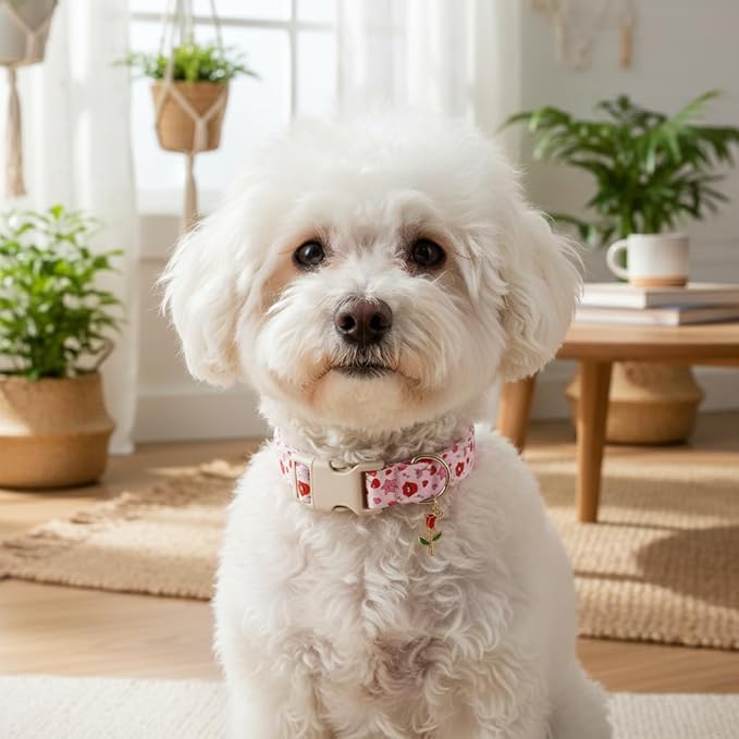 Valentines Dog Collar, Girl Dog Collars with Valentines Day Pattern, Cute Pet Collar with Soft Fabric and Quick Release Buckle, Adjustable for Extra Small, Small, Medium & Large Dogs