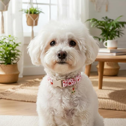 Valentines Dog Collar, Girl Dog Collars with Valentines Day Pattern, Cute Pet Collar with Soft Fabric and Quick Release Buckle, Adjustable for Extra Small, Small, Medium & Large Dogs