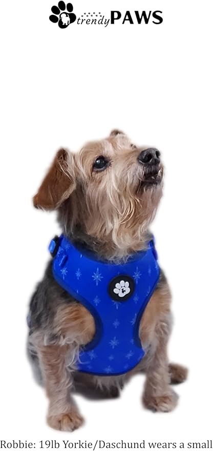 TrendyPaws Dog Harness, Collar and Leash Set, Breathable Mesh, S/M/L Sizes (Cobalt, Small)