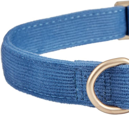 Soft Corduroy Dog Collar and Leash Set Adjustable Durable Dog Collars with Metal Buckle and Lead for Small Dogs,Royal Blue