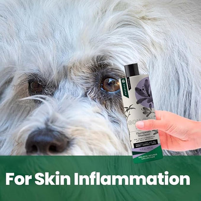 Gou Gou Pets Holistic Natural Anti-Fungal Shampoo for Dogs, Cats & Horses: Veterinarian Recommended: Relieve Itching & Flaking Skin Caused by Fungal Infections & Skin Conditions - Made in USA - 16 oz
