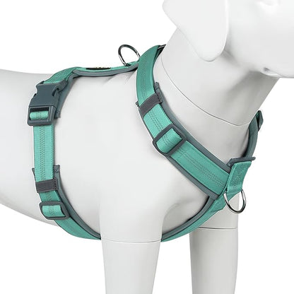 Plutus Pet No Pull Dog Harness, Adjustable Nylon Harness with Soft Padding, Reflective and Heavy Duty Dog Harness for Small, Medium, Large Dogs(Teal, S)