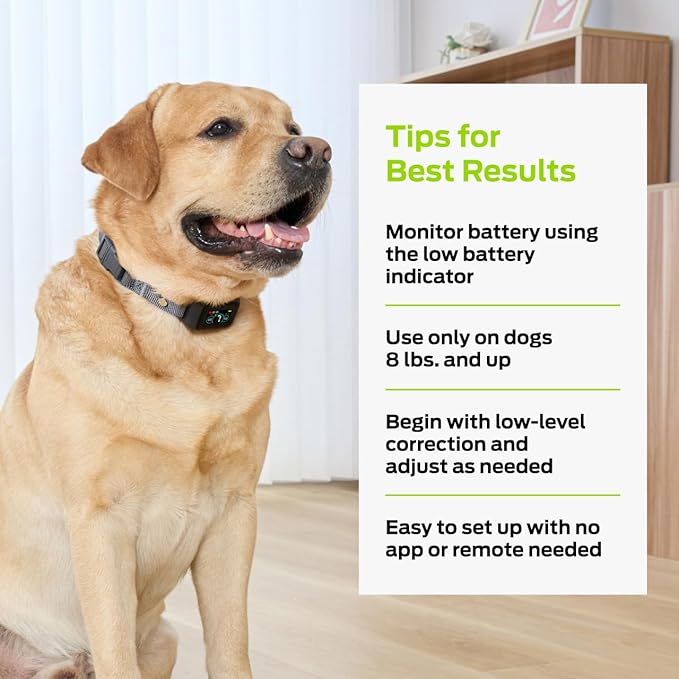 Premier Pet Dog Bark Collar- Waterproof - Rechargeable Digital Bark Collar Anti Barking Collar with 5 Adjustable Sensitivity Levels Dogs