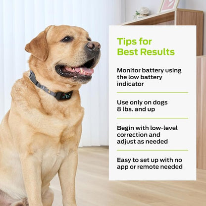 Premier Pet Dog Bark Collar- Waterproof - Rechargeable Digital Bark Collar Anti Barking Collar with 5 Adjustable Sensitivity Levels Dogs