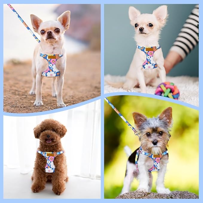 SlowTon No Pull Dog Harness with Leash - Soft Lightweight Floral Pattern Puppy Harness, Adjustable Pet Harness for Small Medium Dogs (Blue Flower S)