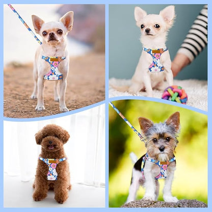 SlowTon No Pull Dog Harness with Leash - Soft Lightweight Floral Pattern Puppy Harness, Adjustable Pet Harness for Small Medium Dogs (Blue Flower S)