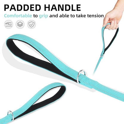 PUPTECK Reflective Dog Leash with Comfortable Padded Handle Durable Nylon Dog Lead for Small Medium and Large Dogs Cats Walking Running Training Outside, Light Blue