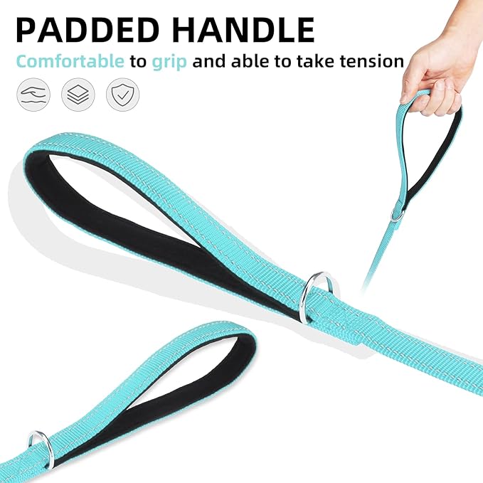 PUPTECK Reflective Dog Leash with Comfortable Padded Handle Durable Nylon Dog Lead for Small Medium and Large Dogs Cats Walking Running Training Outside, Light Blue