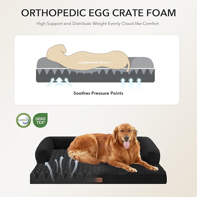 Casa Paw Orthopedic Dog Beds for Large Sized Dogs, Waterproof Egg Crate Foam Medium Dog Couch Beds for Crate 35x22Inch, Washable Pet Beds with Removable Cover and Nonskid Bottom, Black