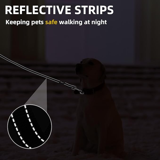 PUPTECK Reflective Dog Leash with Comfortable Padded Handle Durable Nylon Dog Lead for Small Medium and Large Dogs Cats Walking Running Training Outside, Black