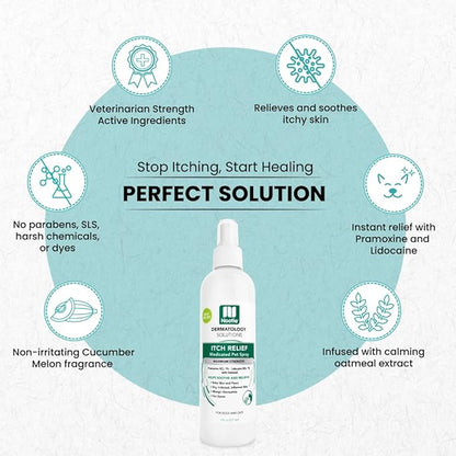 Nootie Medicated Anti-itch Spray, Itch Relief & Skin Care for Dogs & Cats, Formulated for Veterinarians, Sold in over 10,000 Clinics & Stores Worldwide, 8 fl oz