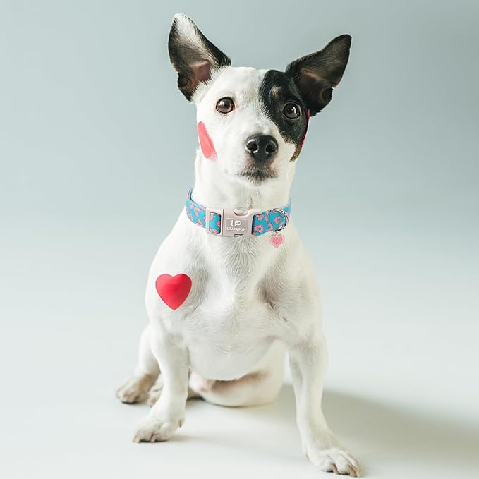Valentine’s Dog Collar, Pink Heart Dog Collar with Quick Release, Valentine’s Gift Pet Girl Boy Dog Collar for Puppy Small Medium Dogs