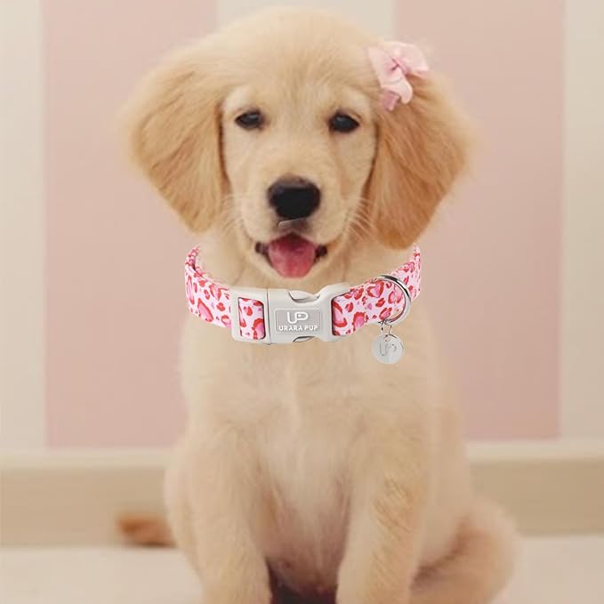 UP URARA PUP Valentine’s Day Dog Collar, Pink Heart Dog Collar with Quick Release, Valentine’s Day Gift Pet Collar for Puppy Girl Boy Dogs, Wedding Dog Collar